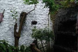 Kost Muslimah Mbah Kun Type 1