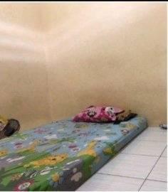 Di sewakan kamar kost Type 1