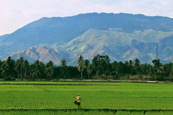 pengertian sumber daya alam