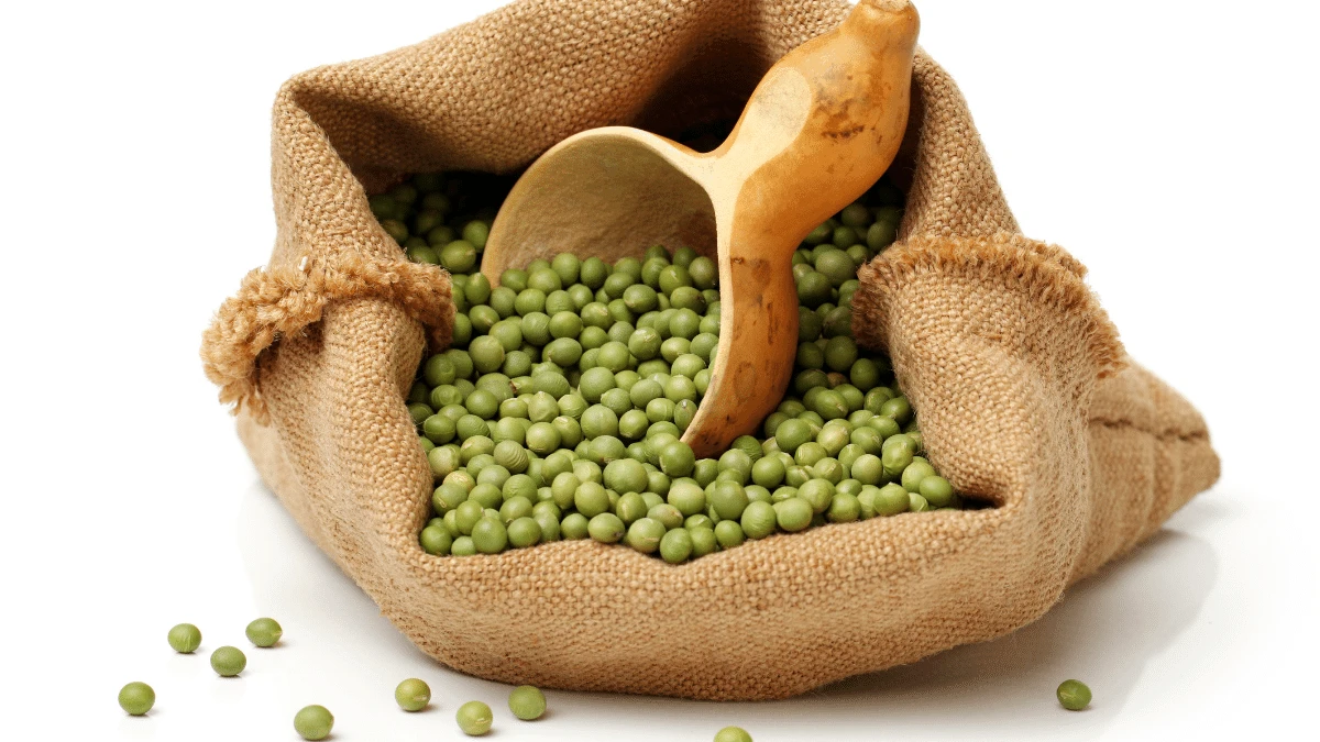 cara merebus kacang hijau agar cepat empuk