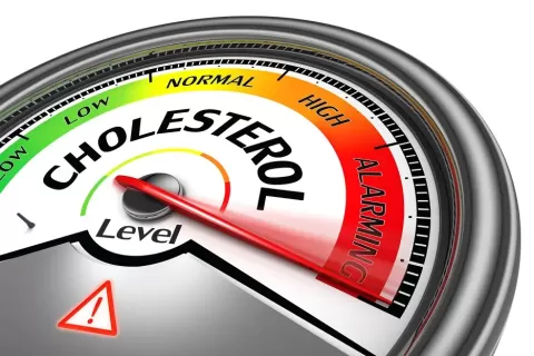 Membantu Menurunkan Kadar Kolesterol Jahat