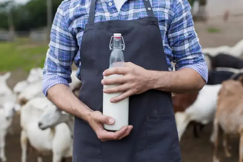 manfaat minum susu kambing etawa sebelum tidur