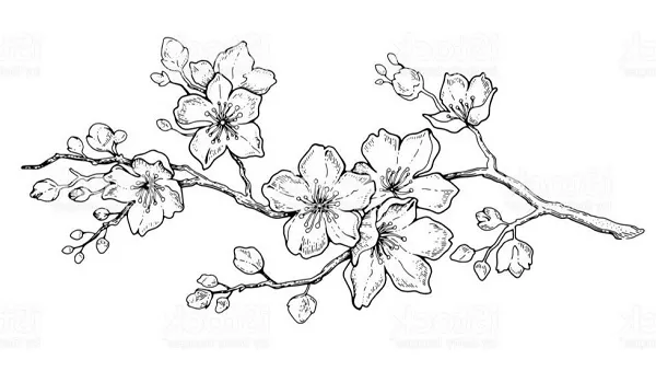 sketsa bunga simple