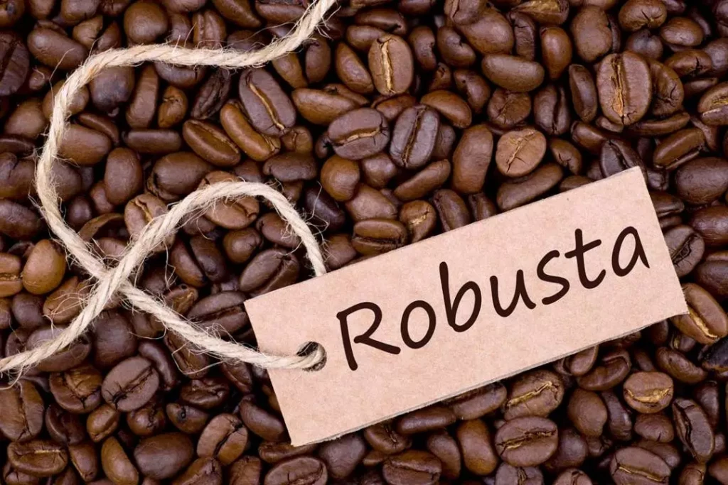 perbedaan kopi robusta dan arabika
