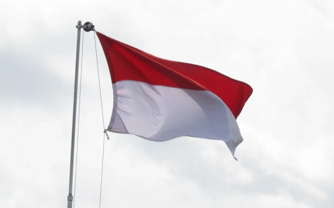 negara pertama yang mengakui kemerdekaan indonesia