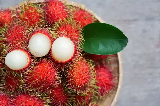 manfaat buah rambutan